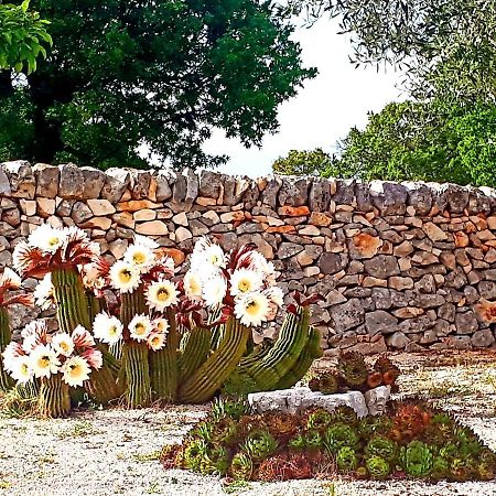 Bed and Breakfast Casa Relax Isabelle Alberobello Exterior foto