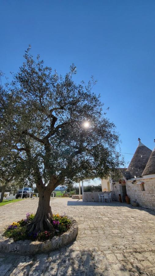 Bed and Breakfast Casa Relax Isabelle Alberobello Exterior foto